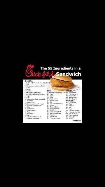 265 INGREDIENTS IN TWO CHIK FIL-A ITEMS⁉️ WHATWHATWHAT⁉️