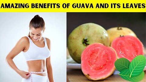Harness Guava Power: Incredible Benefits of Fruit and Leaves for Wellness! MD76