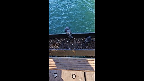 Sitting here watching the waves