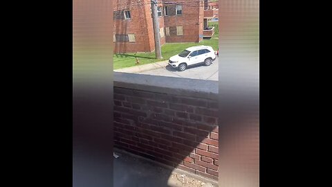 Father Teach His Son A Lesson For Putting Hands On His Sister
