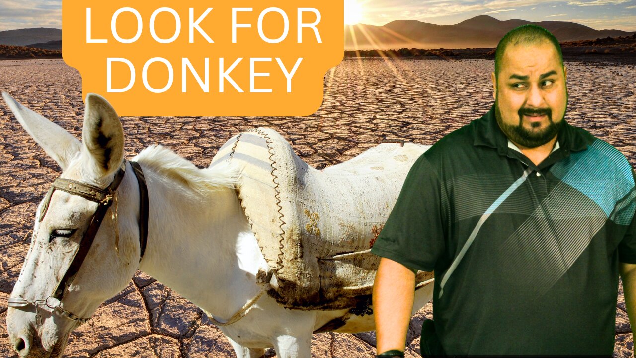 Look for Donkey