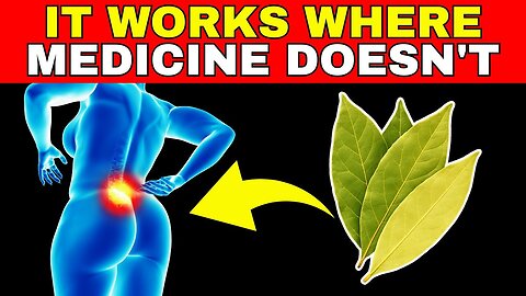 Drink Bay Leaf Tea Daily and Youll Be Shocked by What Happens