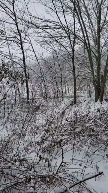 Southern Illinois Snow Storm December 16th 2019