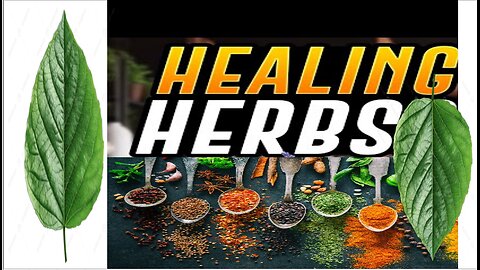 What REALLY Causes Most Diseases and Ailments?