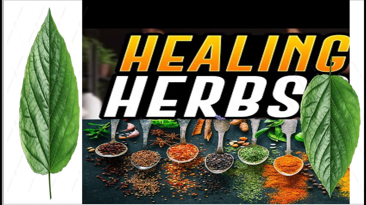 What REALLY Causes Most Diseases and Ailments?