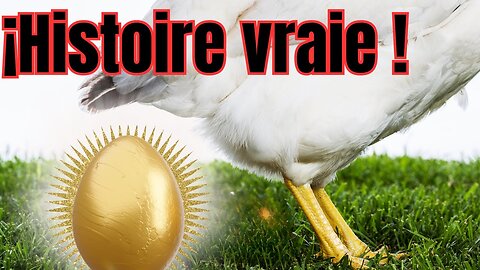 POULE AUX ŒUFS D'OR