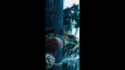 # Zhong Koi x Wukong 🔥