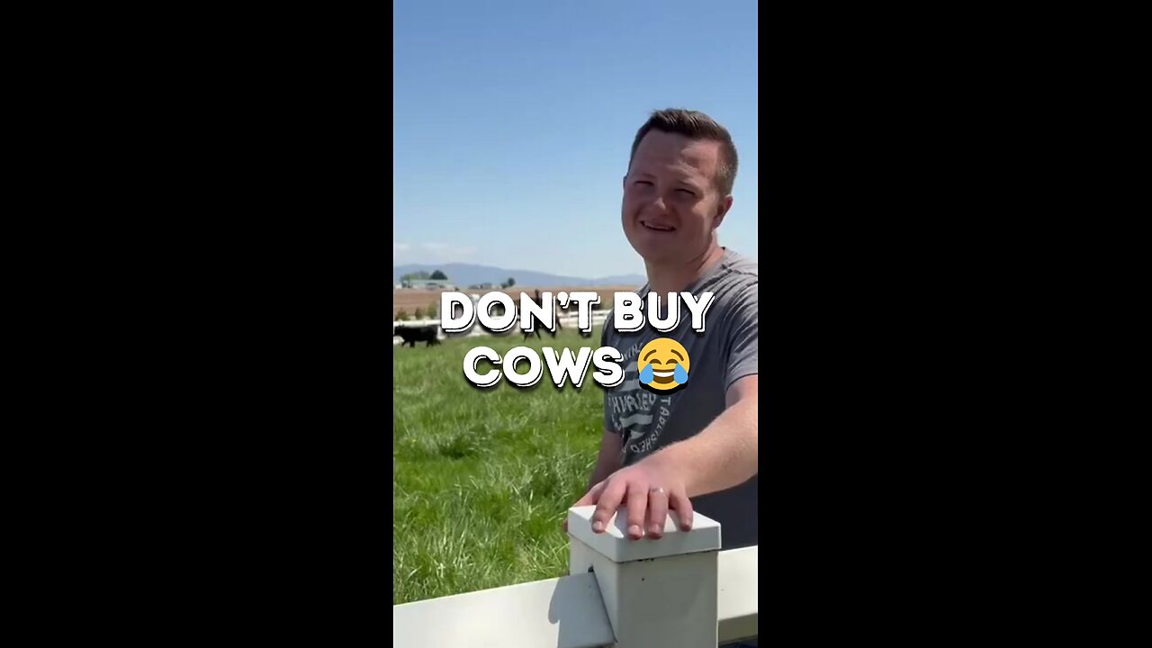 Thinking About Buying a Cow? Watch This First!
