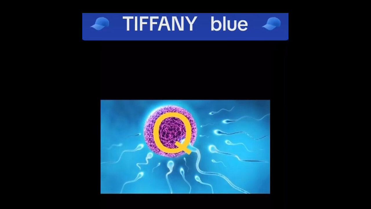 Neg48; Point of Conception~Blue Flash💙, Gematria, Archangel Michael, JFK 🤯