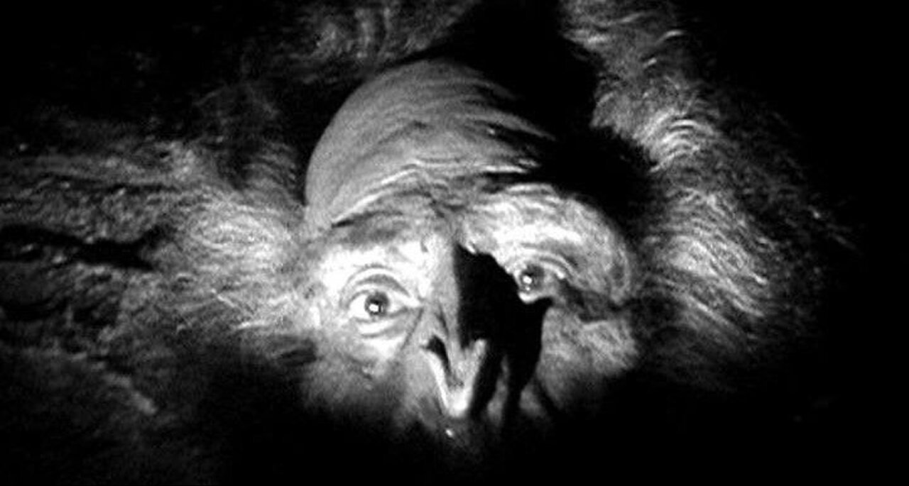 Bonus Episode - The Hunt For The Yeti