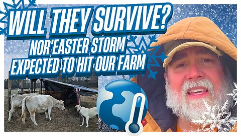 Last-Minute Nor'easter Blizzard Survival Prep On Farm