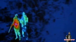 Manitoba's Chief Doctor Pushing Needles