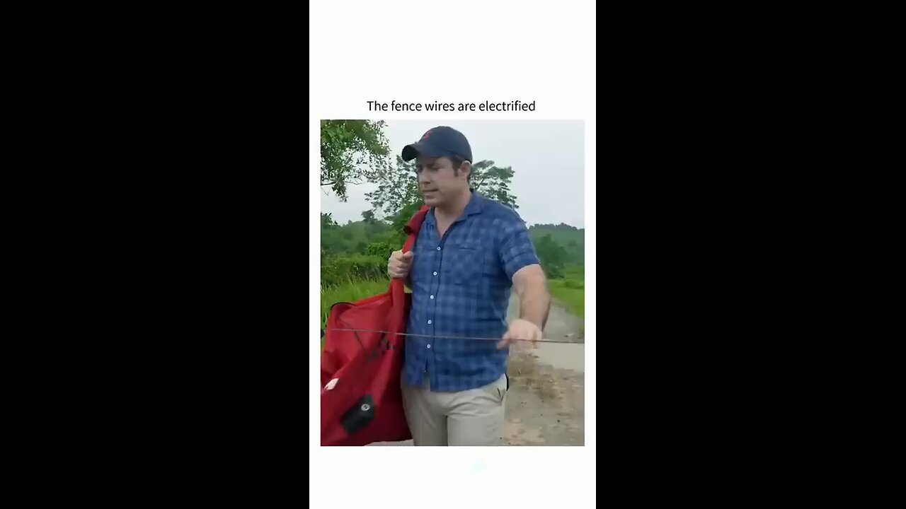 The fence wires are electrified 🔌⚡