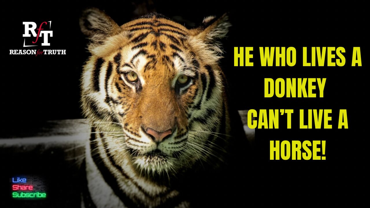 He Who Lives A Donkey Can't Live A Horse