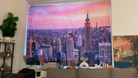 Amazon Reviews of Household Products (Midtown Manhattan Apartment)