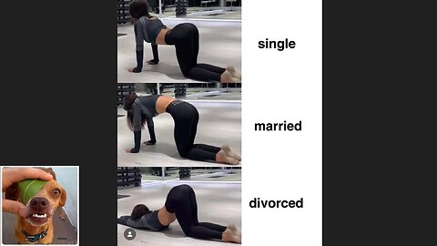 Memes That Will 99.0309% Make You Laugh. (e533)