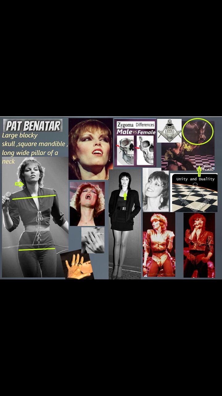 TRANNY CAM : IDENTIFICATION PLAN