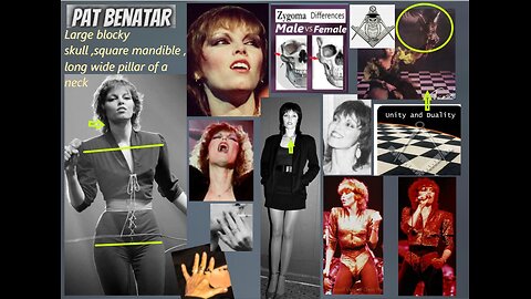 TRANNY CAM : IDENTIFICATION PLAN