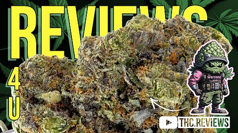 WZ PINK KUSH (STRAIN REVIEW)