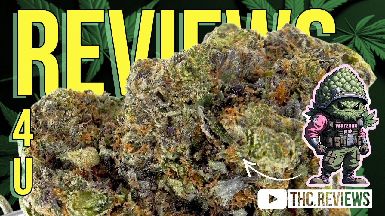 WZ PINK KUSH (STRAIN REVIEW)