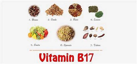 Sources of Vitamin B17 (Laetrile or Amygdalin) for Cancer Patients or Prevention - G. Edward Griffin