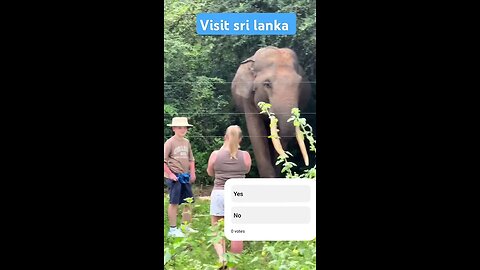 visit sri lanka 🇱🇰❤️‍🩹