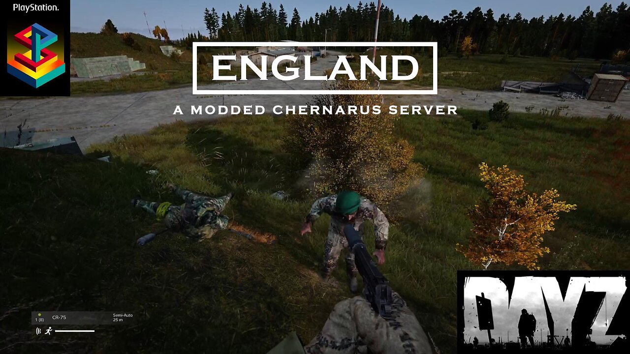 England DayZ PS5