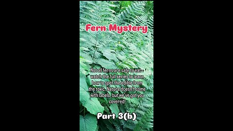 Not every fern is food. This one’s off the menu.🍽️🚫 #NonEdibleFern #natureshort #nature #fern