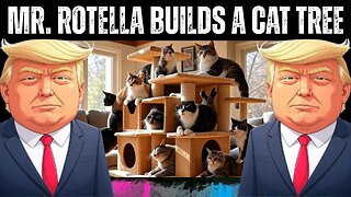 Mr. Rotella Builds a Cat Tree