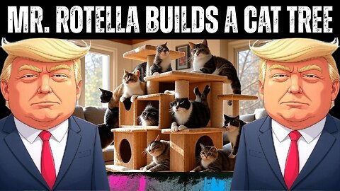 Mr. Rotella Builds a Cat Tree