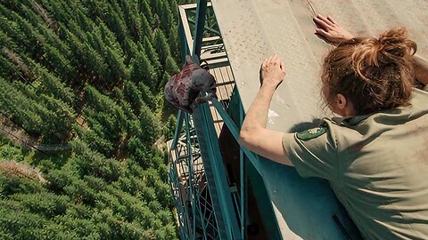 A Dream Job Turns Into a Nightmare 😱🌲 | A Creature in the Forest Hunts Her