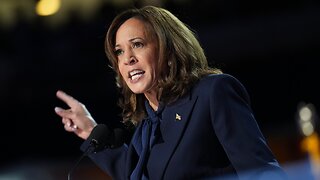 ‘Utter Bullsh*t’: Top Dem SCORCHES Kamala Harris After 'Blatant Lies'