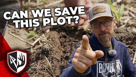Plot Panic: These Beans Look Awful!