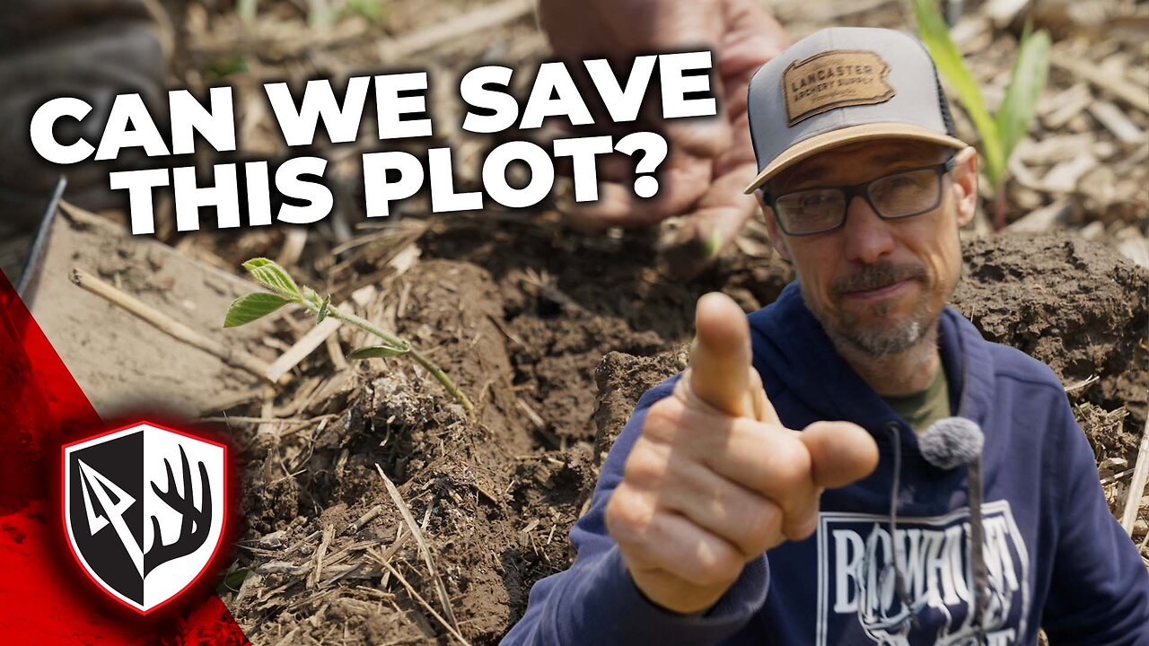 Plot Panic: These Beans Look Awful!