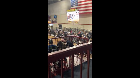 Bronc Ride