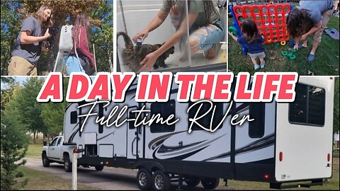 Day in the life of a Full time RV Family with 4 cats, RV Life | Full-Time RV Life