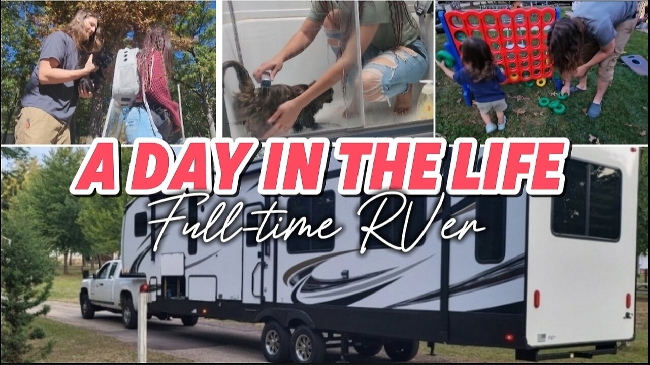 Day in the life of a Full time RV Family with 4 cats, RV Life | Full-Time RV Life