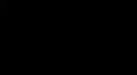 NiggerFagott