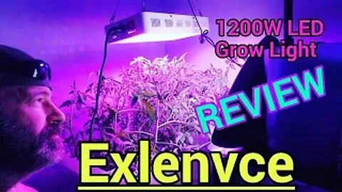 Exlenvce 1200 watt LED grow light review