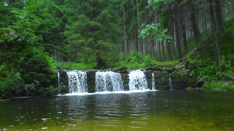 Sounds of a Small Waterfall in the Forest | Water White Noise for Sleep & Meditation