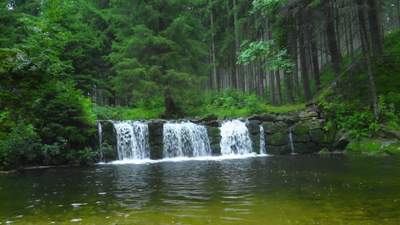 Sounds of a Small Waterfall in the Forest | Water White Noise for Sleep & Meditation