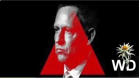 Exposing Peter Thiel & Palantir