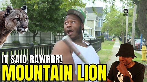 Curtis Jones Hilarious Take on Rochester’s Mountain Lion Sighting
