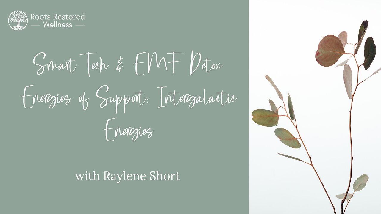 Smart Tech & EMF Detox; Energies of Support Sessions