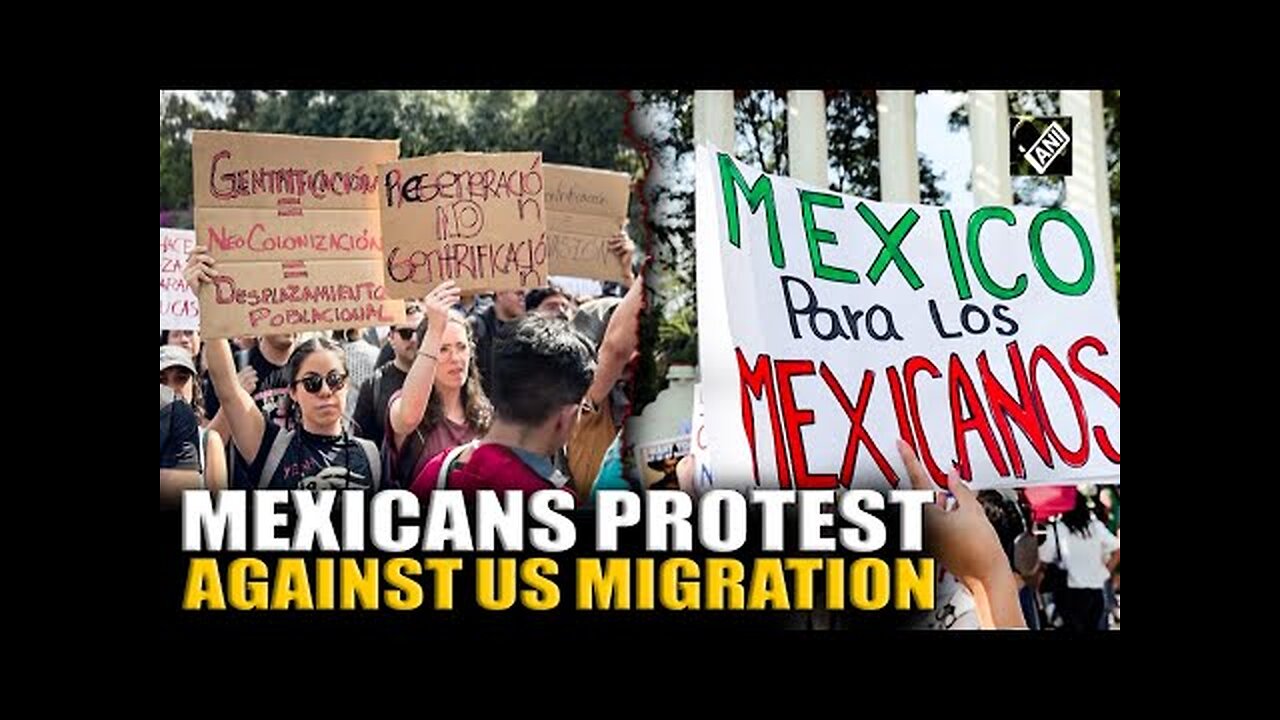 GET OUT GRINGOS