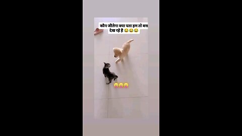 मुकाबला