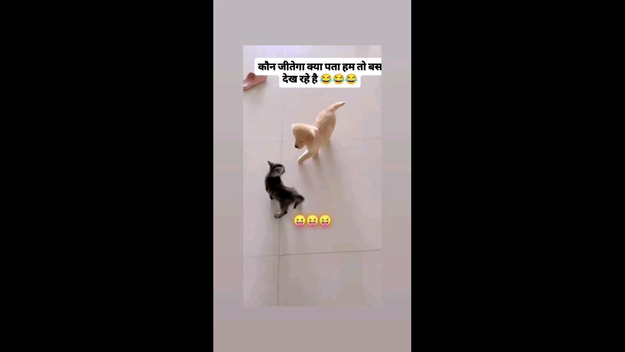 मुकाबला