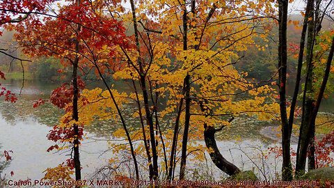 CLASSIC CANON POWERSHOT G7 X MARK II, AUTUMN GLORY