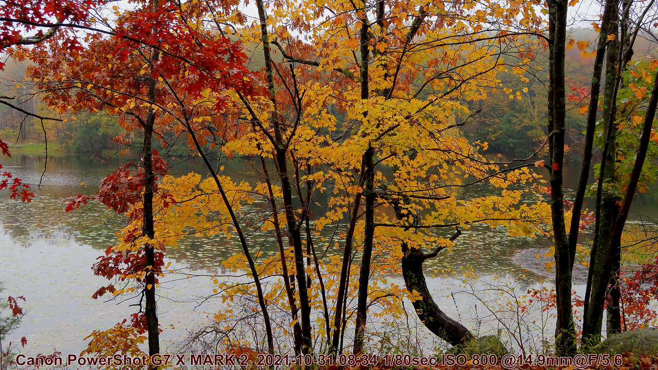 CLASSIC CANON POWERSHOT G7 X MARK II, AUTUMN GLORY