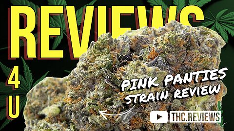 PINK PANTIES (STRIAN REVIEW) | REVIEWS 4 U - KUSHKRAFT